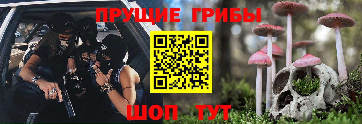 Татарск  Псилоцибиновые грибы ЛСД  Вход с VPN  Псилоцибиновые грибы мухоморы 