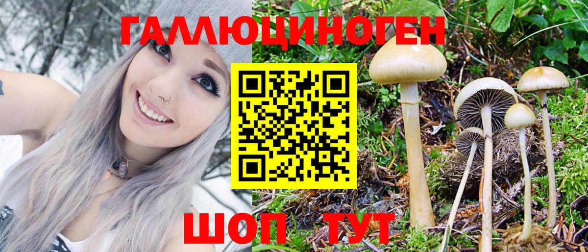Галлюциногенные грибы Cubensis Татарск